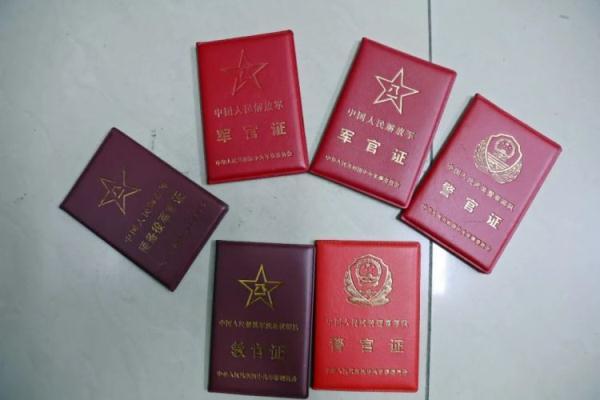 老虎转转转官网
